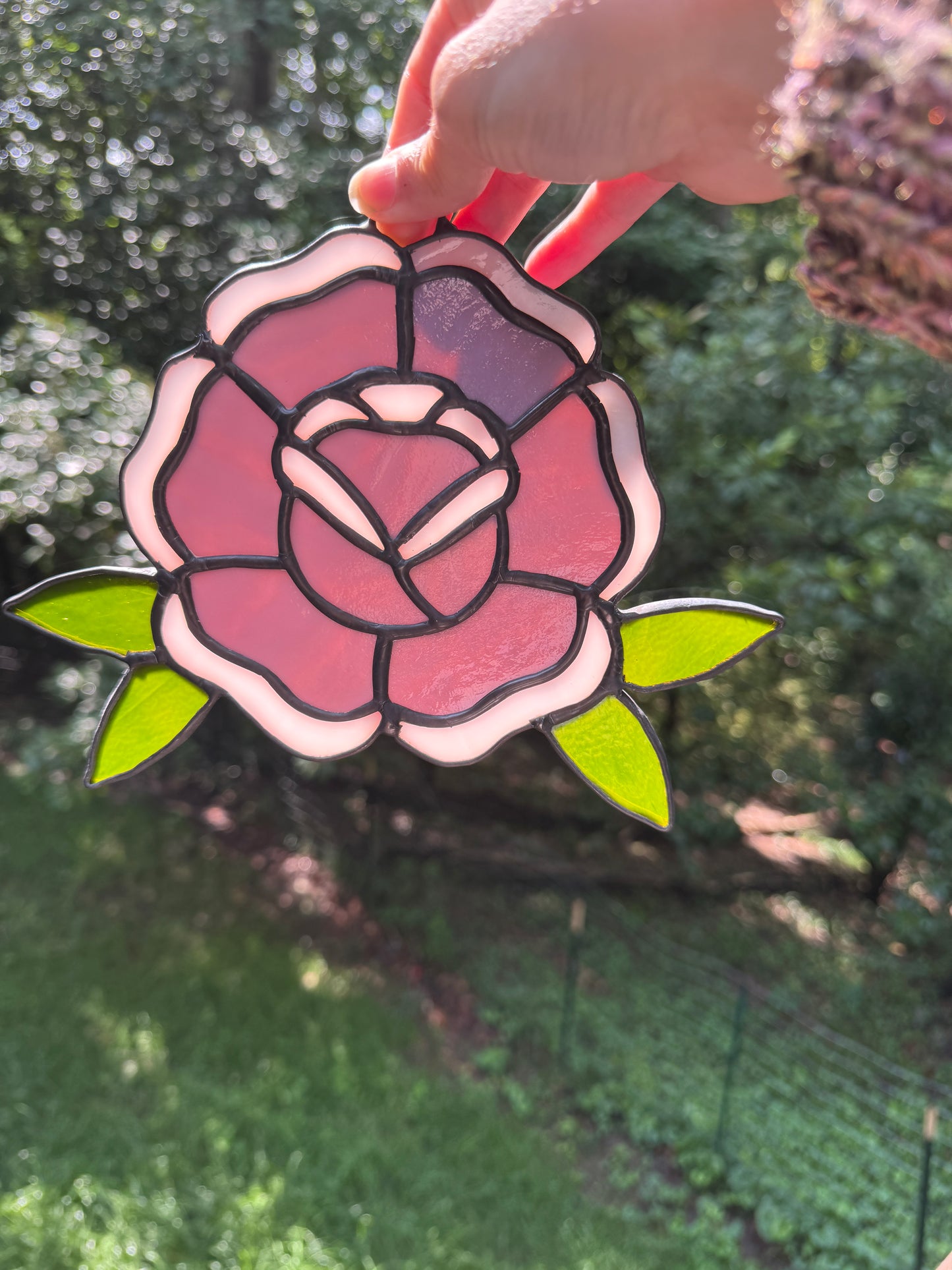 Traditional Rose