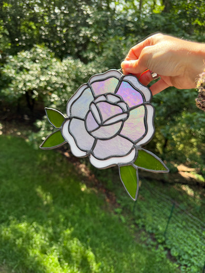Traditional Rose